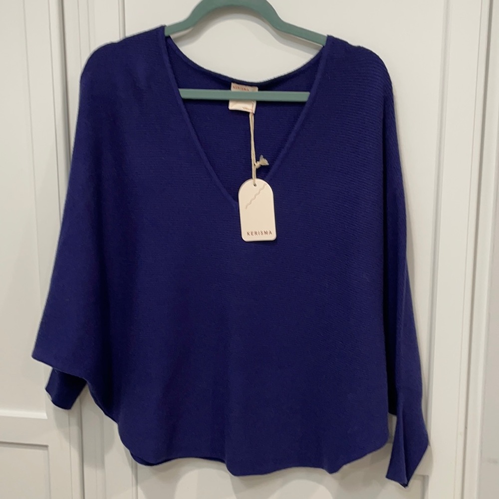 Royal/navy sweater
